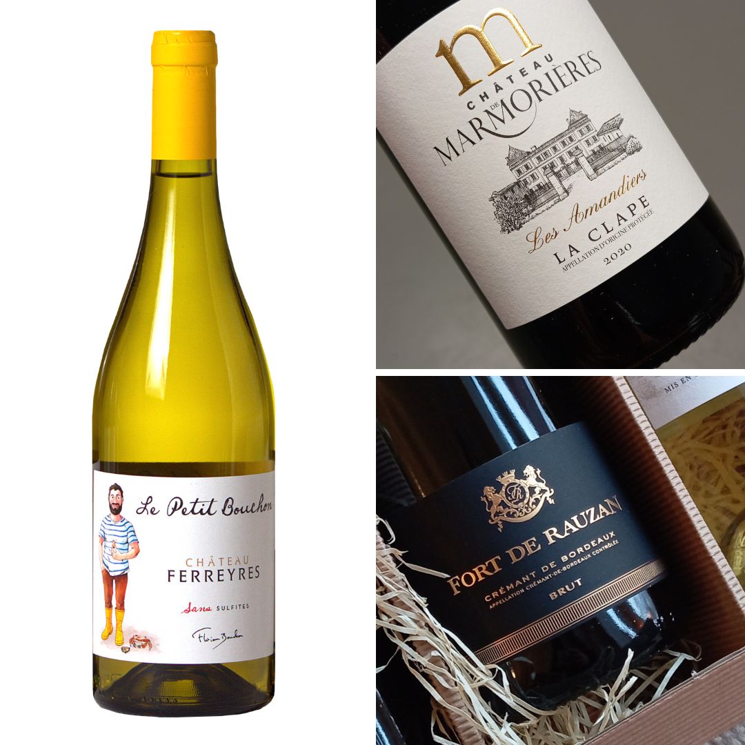 Probierpaket - Pop-Up - Beststeller - 2023