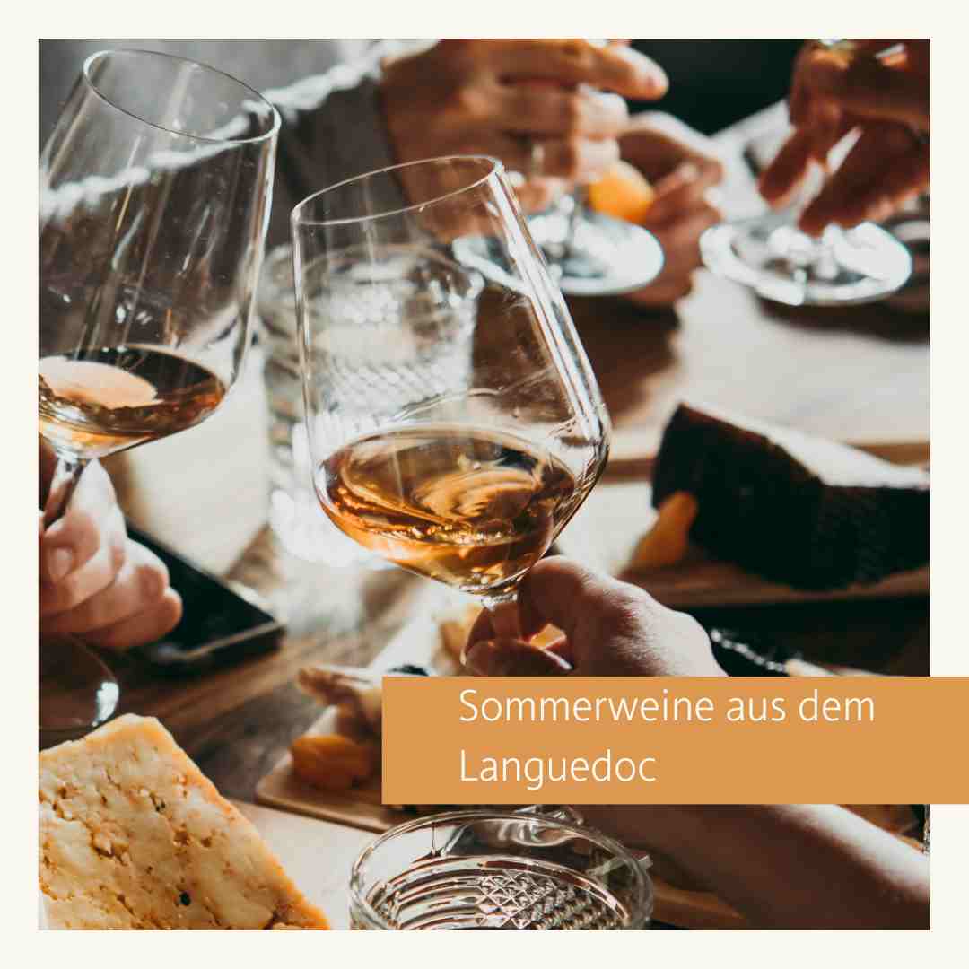 Weinprobe - Sommerweine aus dem Languedoc