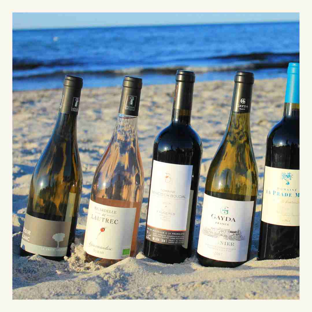 Weinprobe - Sommerweine aus dem Languedoc